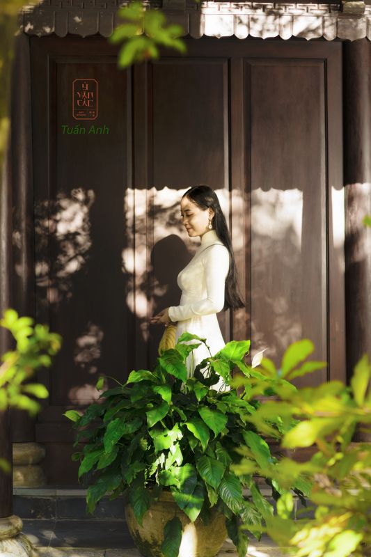 ao dai photo preview