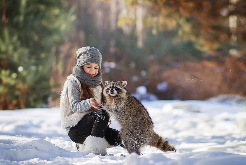 енот, девочка, портрет, зима, прогулка, солнце, солнечный, день, животное, лес ***photo preview
