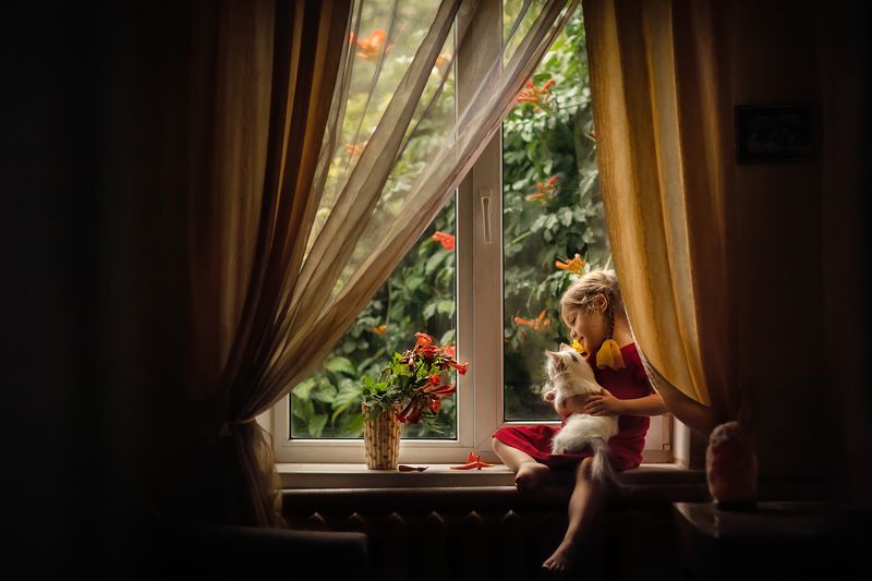 на окошкеphoto preview