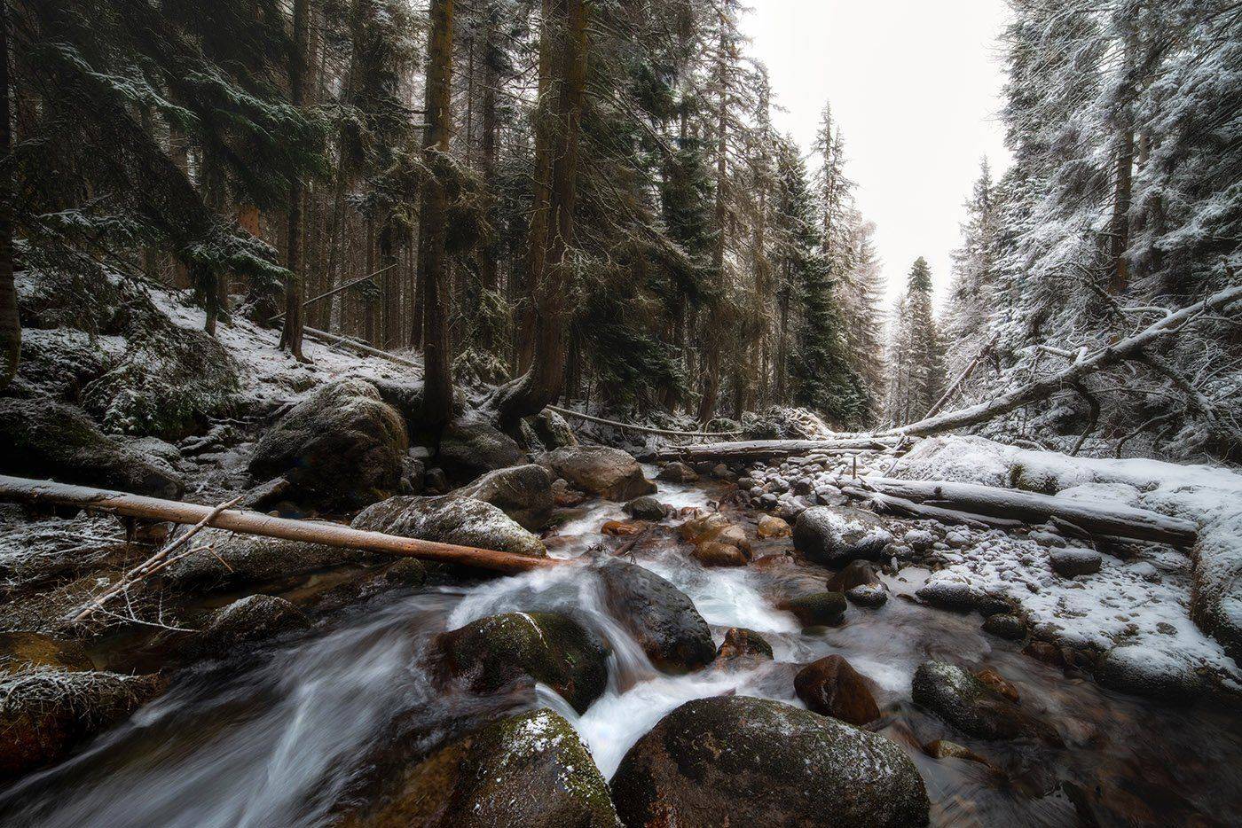 Автор: Александр Орнатский , Александр Орнатский