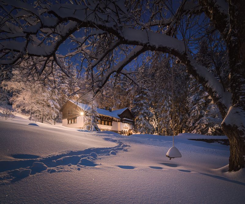 Home in the forestphoto preview