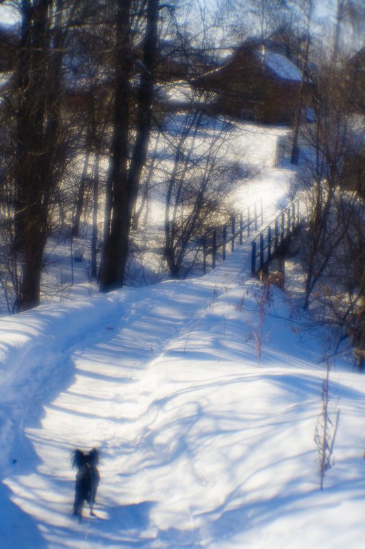 Мартphoto preview