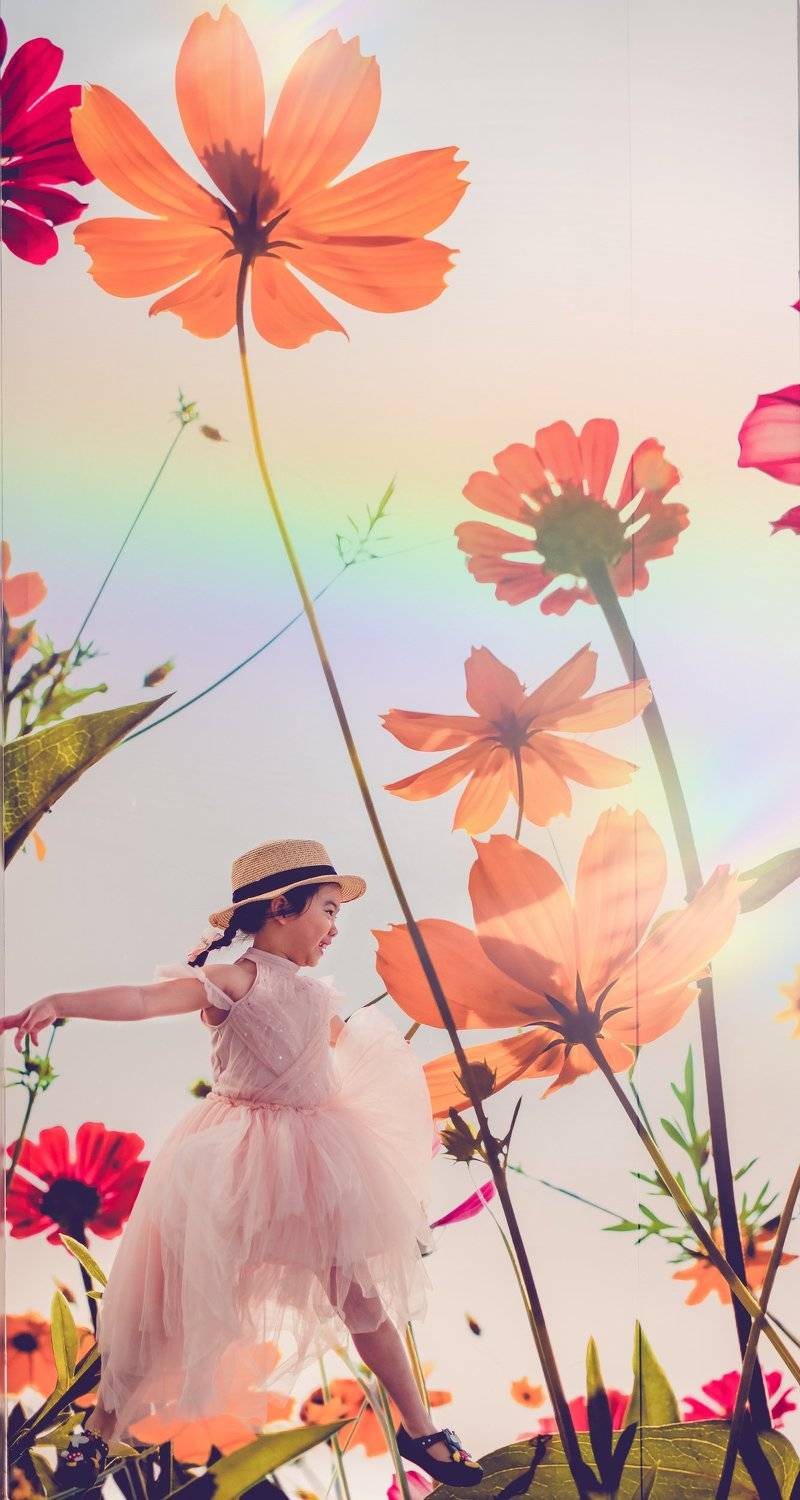 Автор: Derek Zhang , Derek Zhang