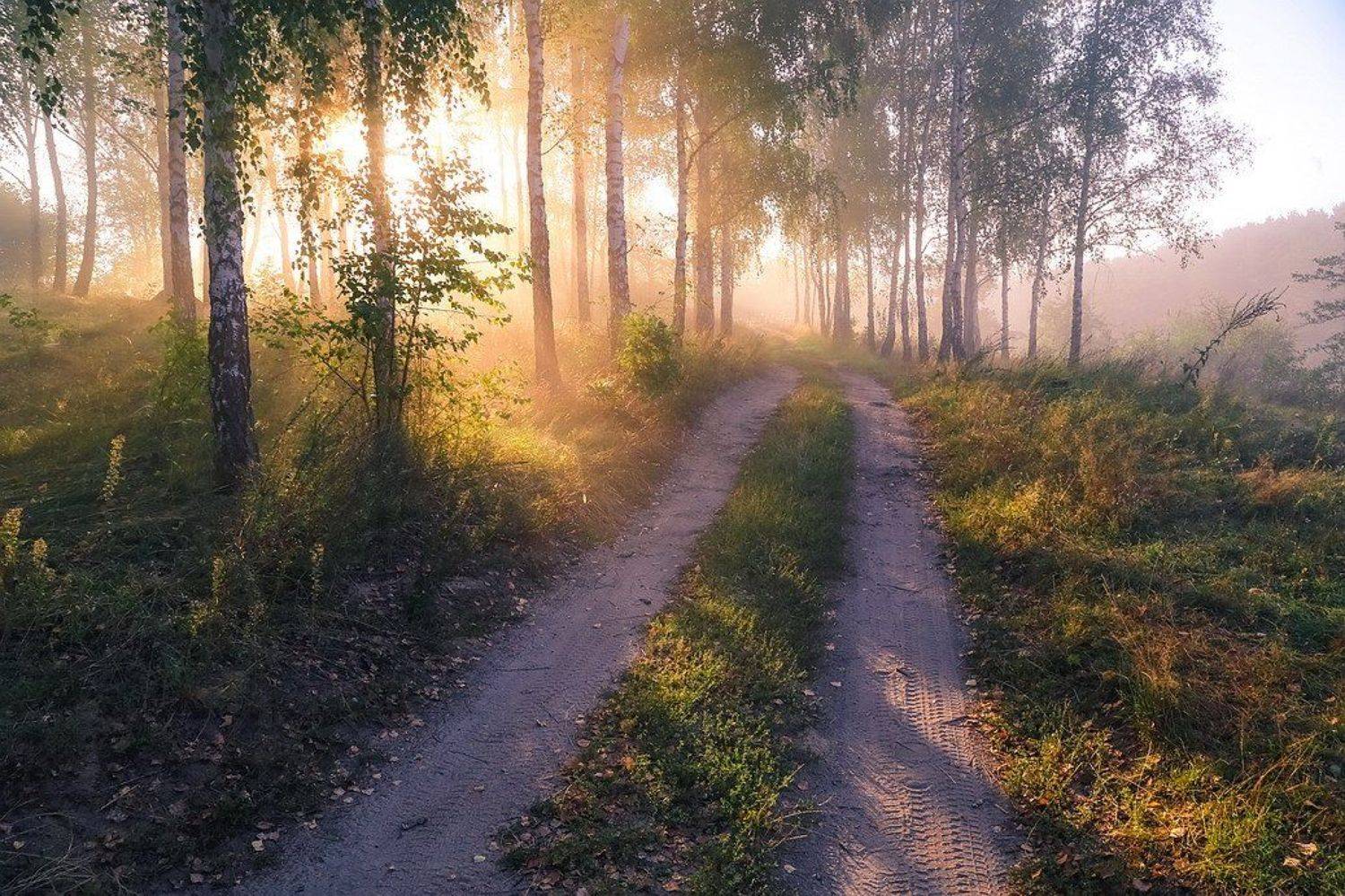 , Вячеслав Мищенко