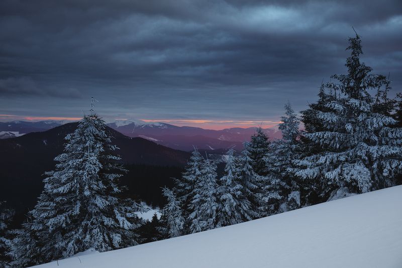 карпаты ***photo preview