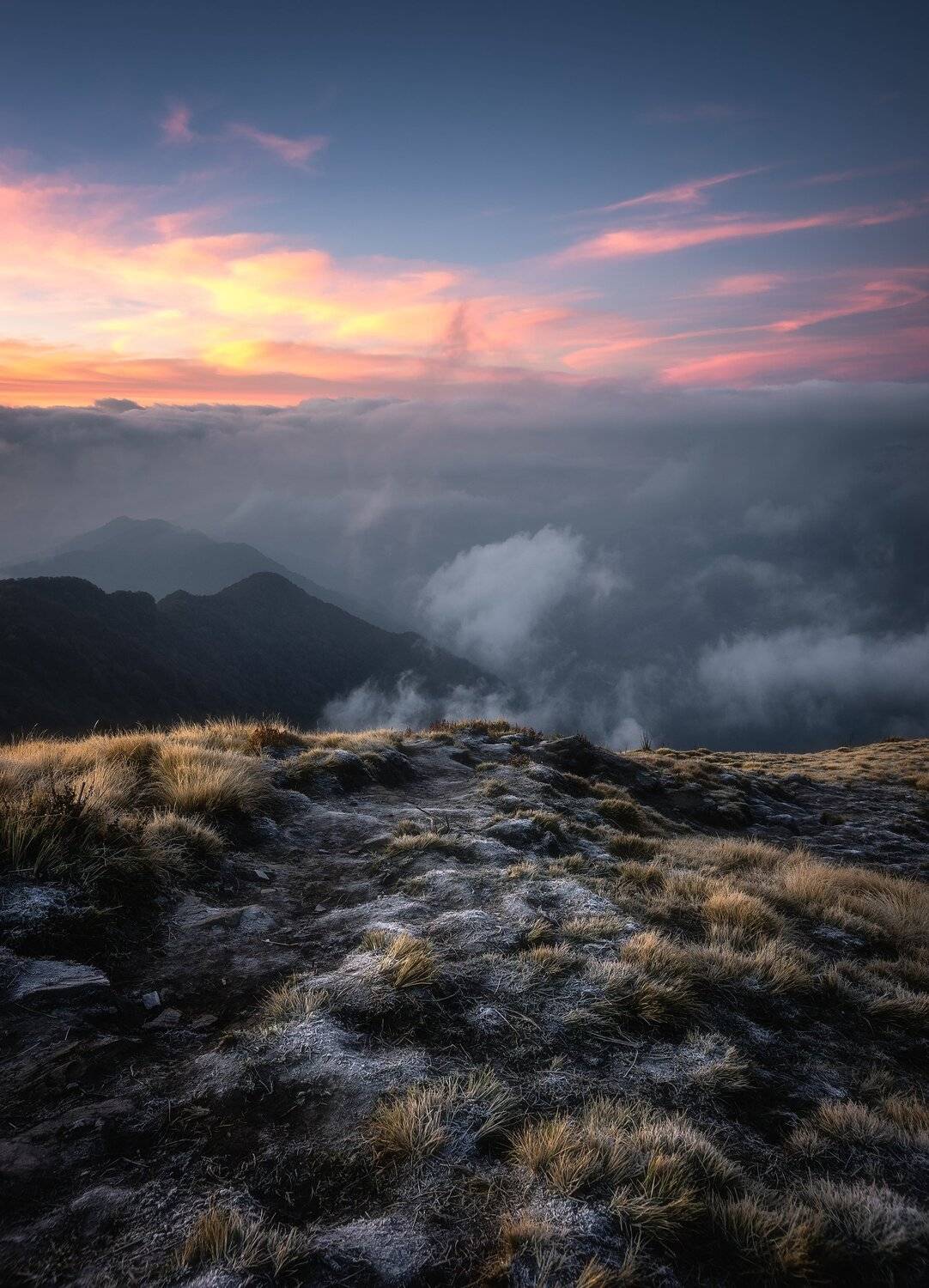 Автор: Алексей Козаченко , Алексей Козаченко