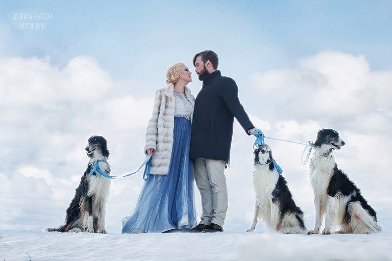 пара, влюбленные, свадьба, собаки, небо, облака, любовь, счастье ***photo preview