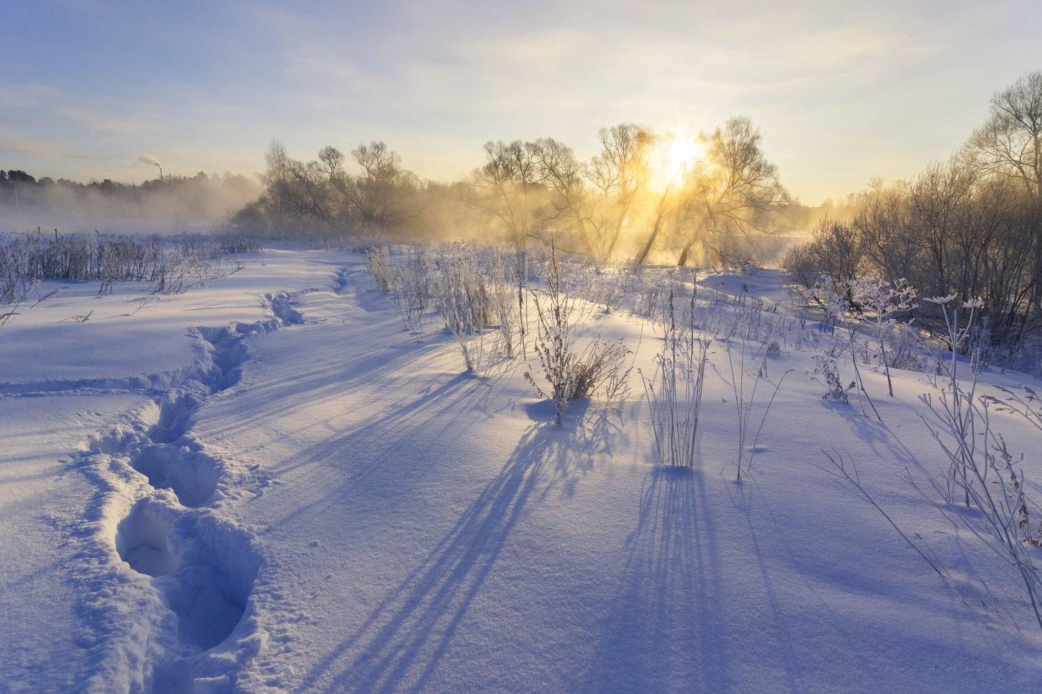 Последние зимние морозные дни. Автор: Александр Кыров туман, московская область, утро, природа, пейзаж, зима, мороз, солнце, Александр Кыров