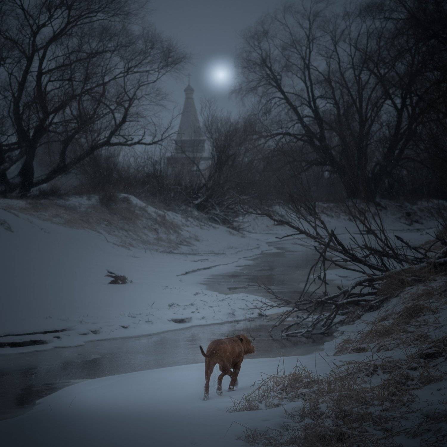 Шёл 21-й день весны. Автор: Роман Фабричный новгородская область,, Роман Фабричный