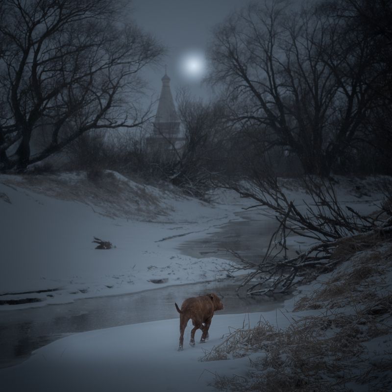 новгородская область, Шёл 21-й день весныphoto preview