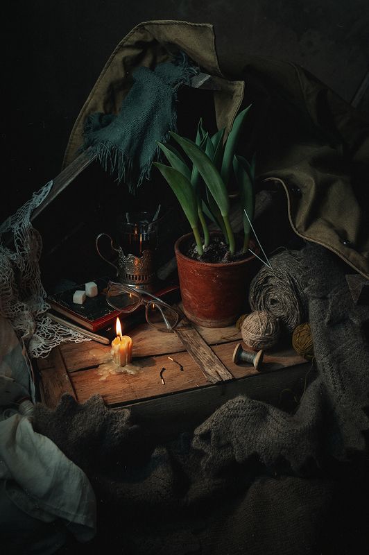 февраль, зима, натюрморт 12 месяцев. Февральphoto preview