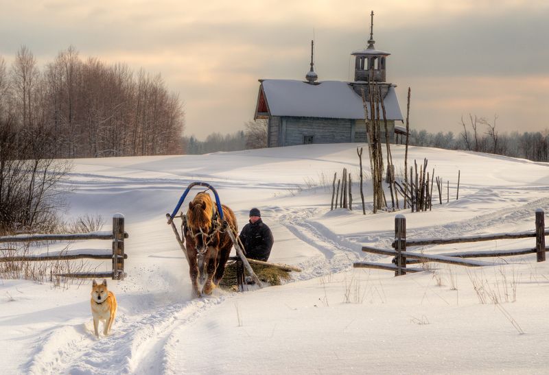 Один день из жизни Рокотаphoto preview