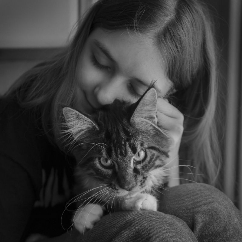 Кот и Викаphoto preview