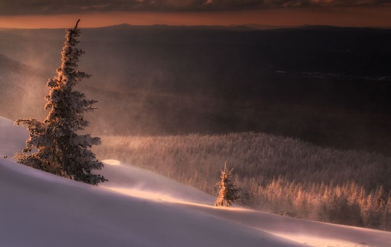 Уреньгаphoto preview