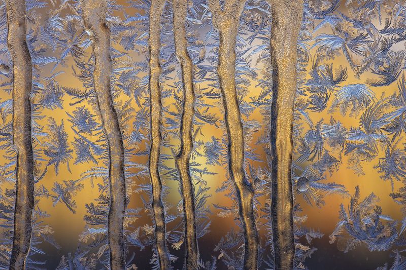 Рисунки деда Морозаphoto preview