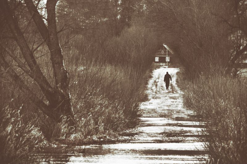 Powrótphoto preview