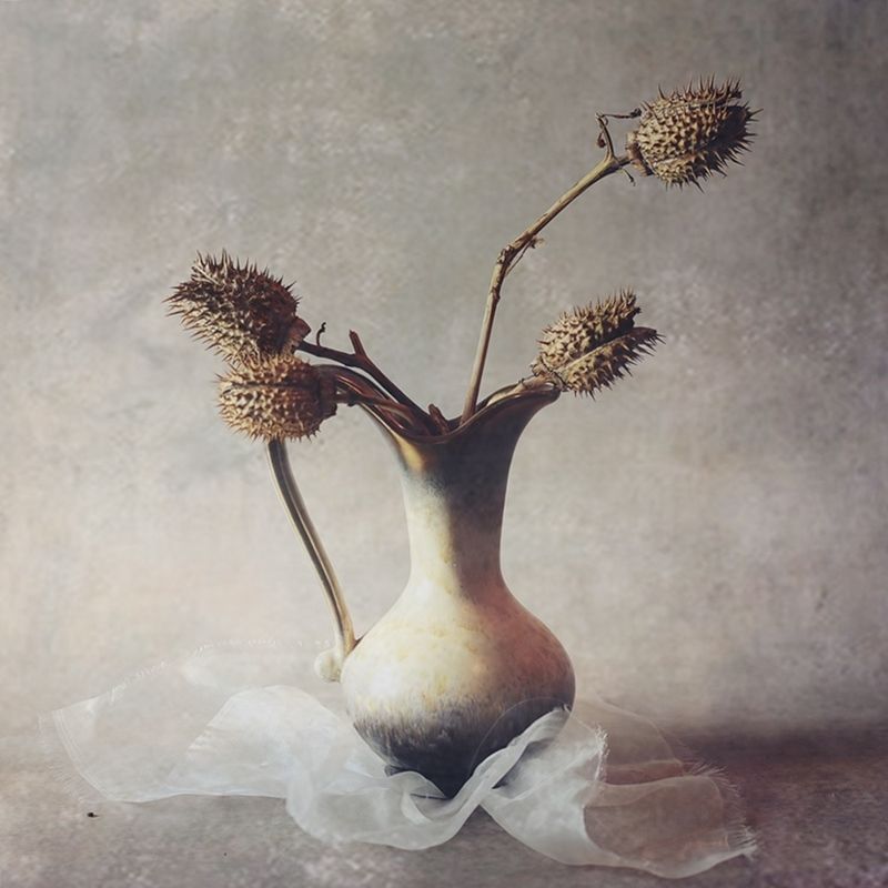 martwa natura, dzbanek, światło  ....photo preview