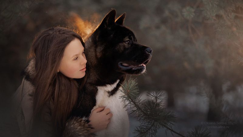 The Bodyguardphoto preview