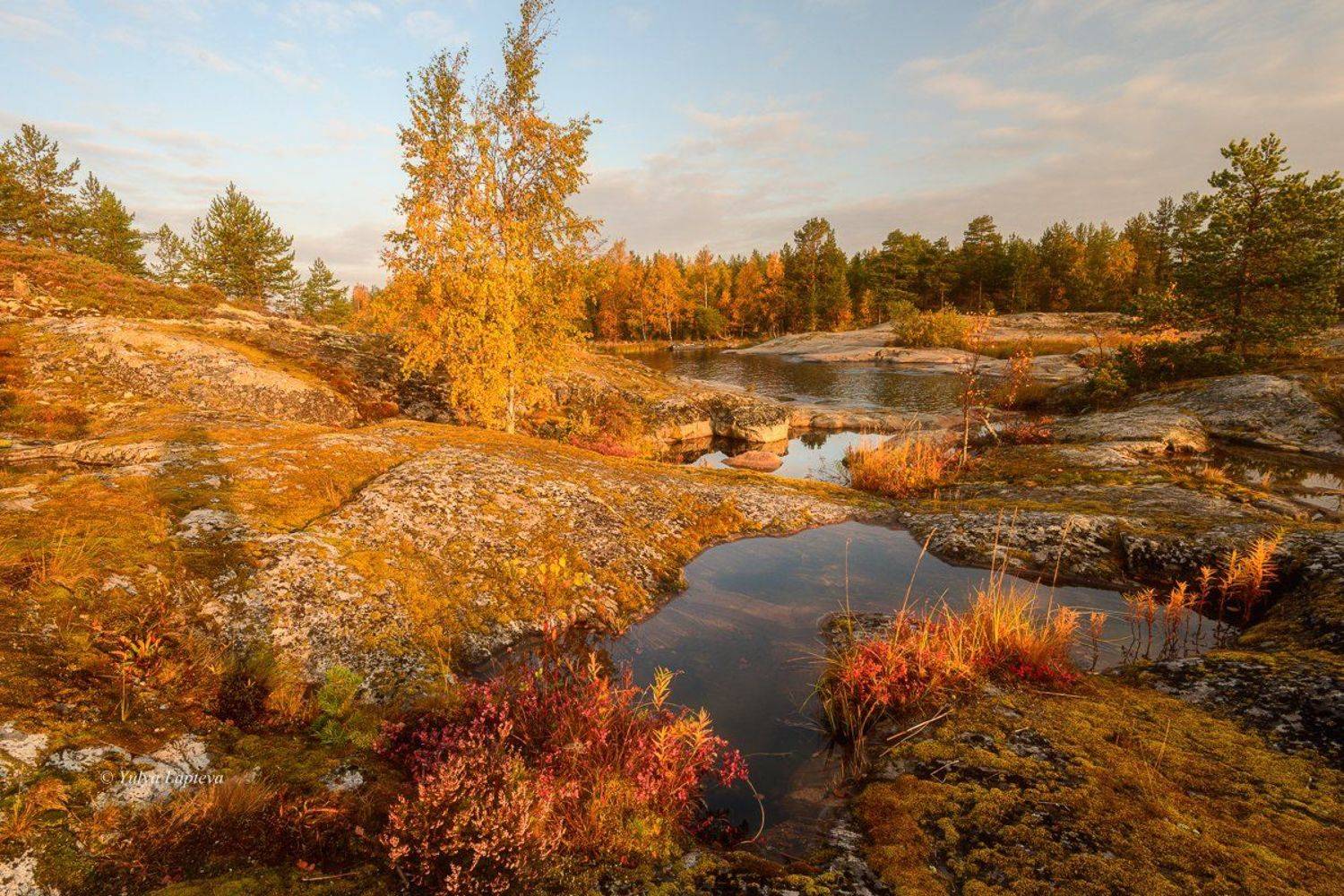 "Над голубыми глазами озер".... Автор: Юлия Лаптева , Юлия Лаптева