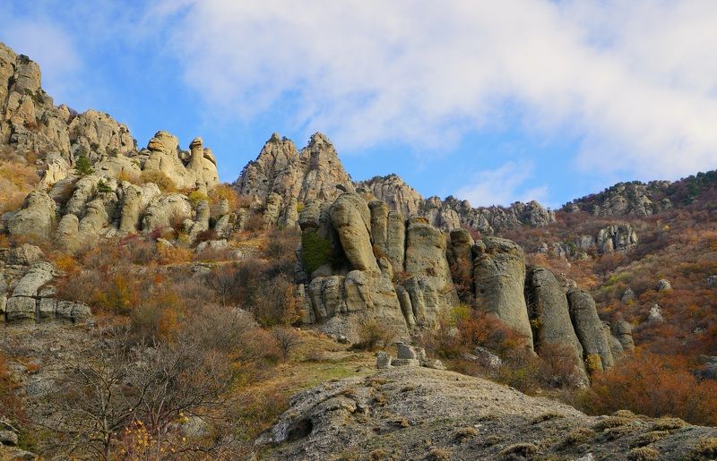 Autumn morningphoto preview