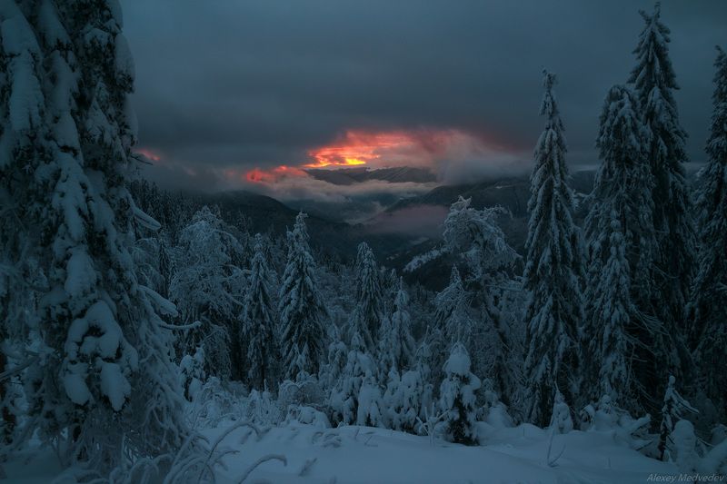 горы, гори, закарпаття, зима, карпати, свидовець, лопухів, лопухов, свидовец, карпаты, закарпатье, свет, закат, солнце, яркий Застыв на мгновениеphoto preview