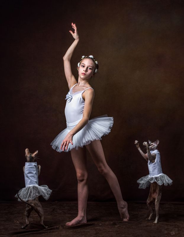 белерина, танец, коты Балетphoto preview
