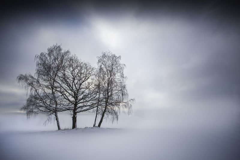 Ligatnephoto preview