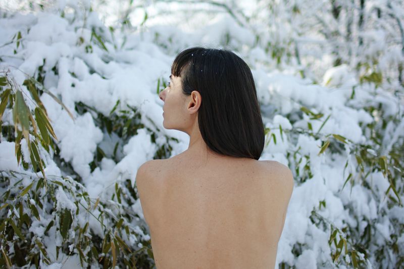 winter bamboo whisperphoto preview