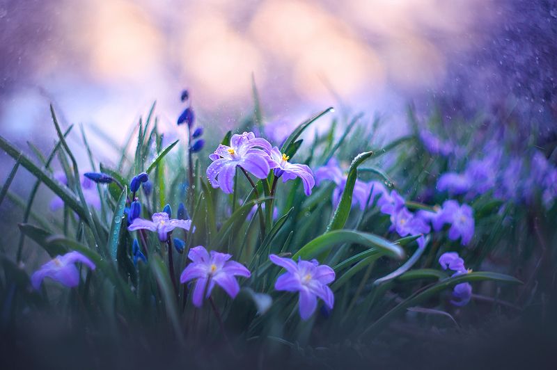 What dreams may come)photo preview