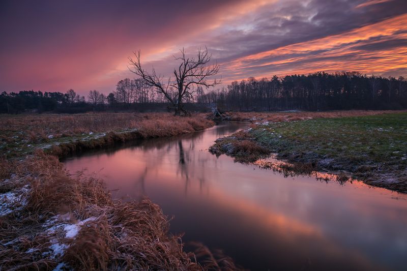 river, jeziorka, poland, morning, winter, sunrise, dawn, clouds, landscape, nature Winter morning on the Jeziorka Riverphoto preview