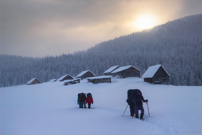 горы, свидовец, чорна тиса, татульский грунь, татул, зима, карпати, карпаты,  Пробивая тропуphoto preview