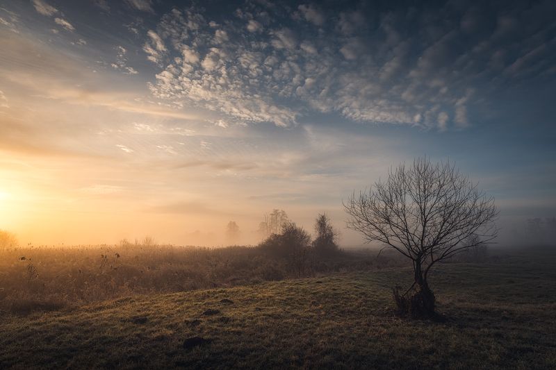 quiet morningphoto preview