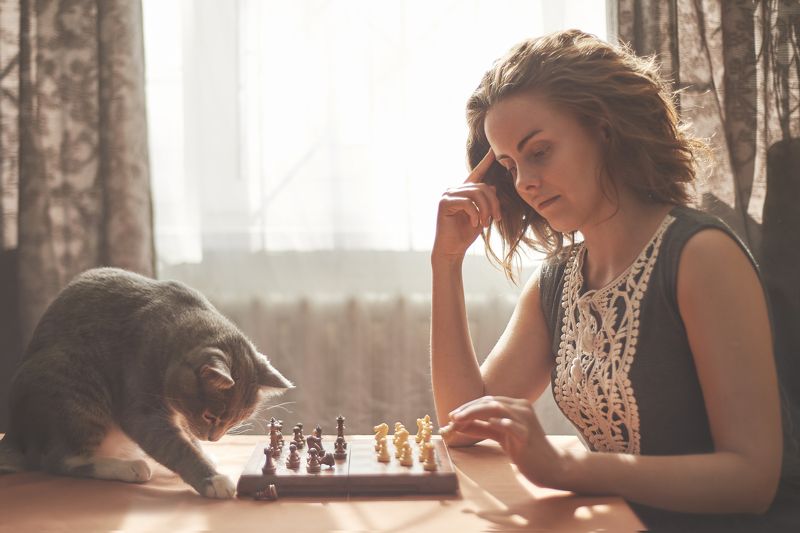 Ход котомphoto preview