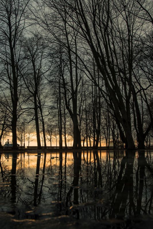 весна, парк, разлив, пейзаж Весеннее зазеркальеphoto preview