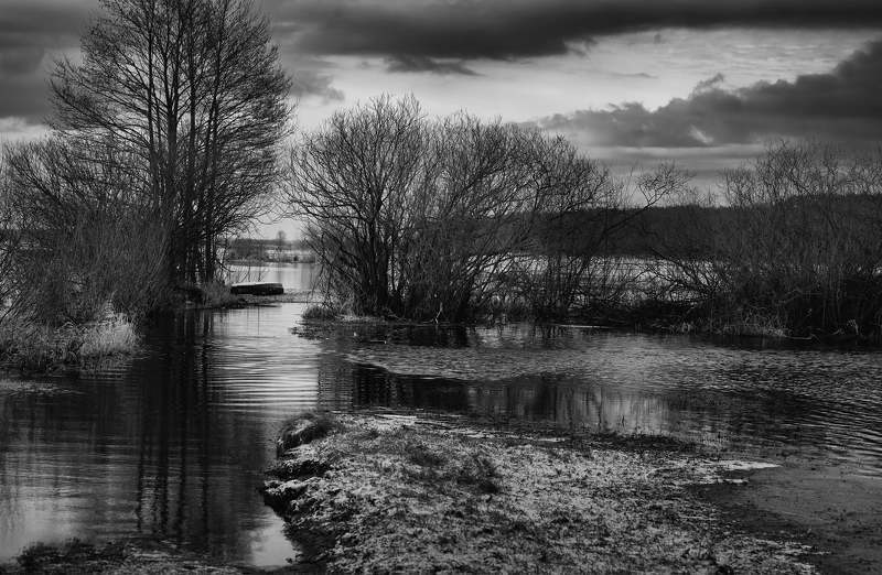 River Narewphoto preview