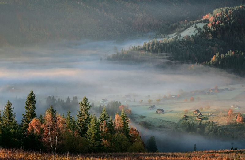 Утренние туманыphoto preview