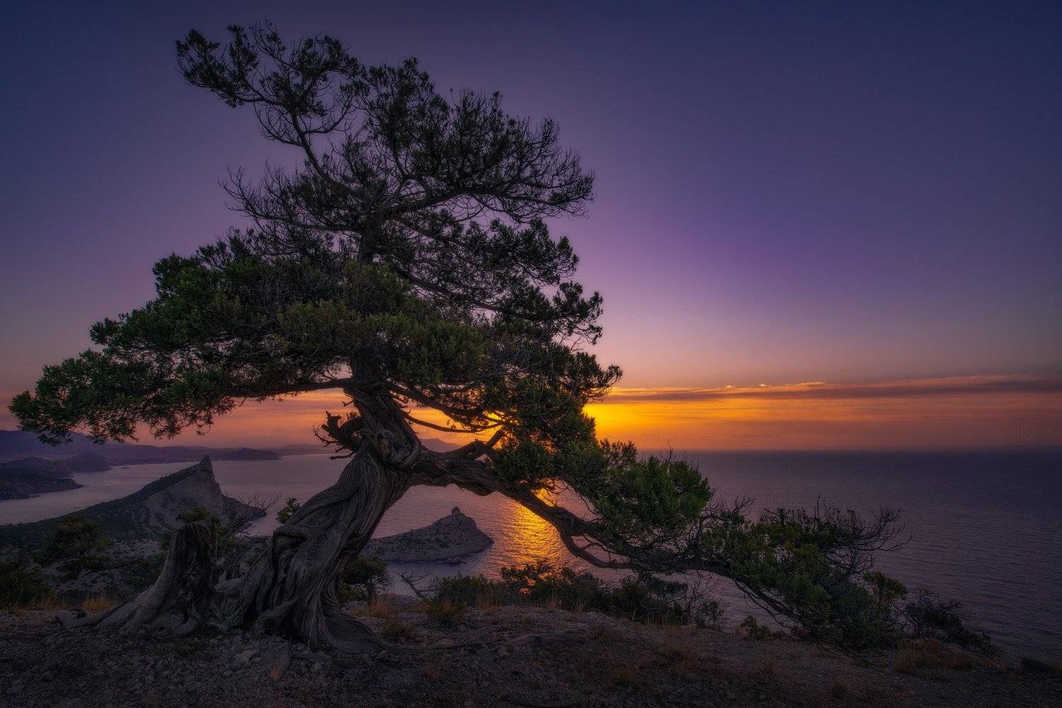 * * *. Автор: Виктор Иванов крым, новый свет, рассвет, crimea, dawn, Виктор Иванов