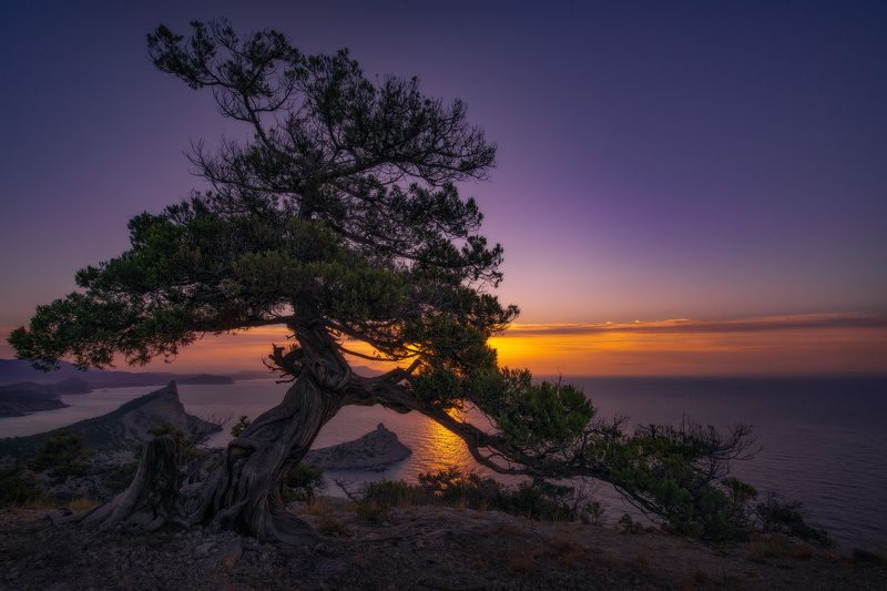 крым, новый свет, рассвет, crimea, dawn * * *photo preview