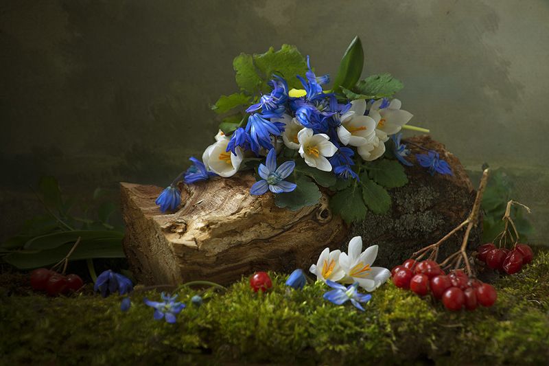 натюрморт с с пролесками,весна,букет,голубые,синие цветы,художественное фото,искусство. Лесная сказкаphoto preview