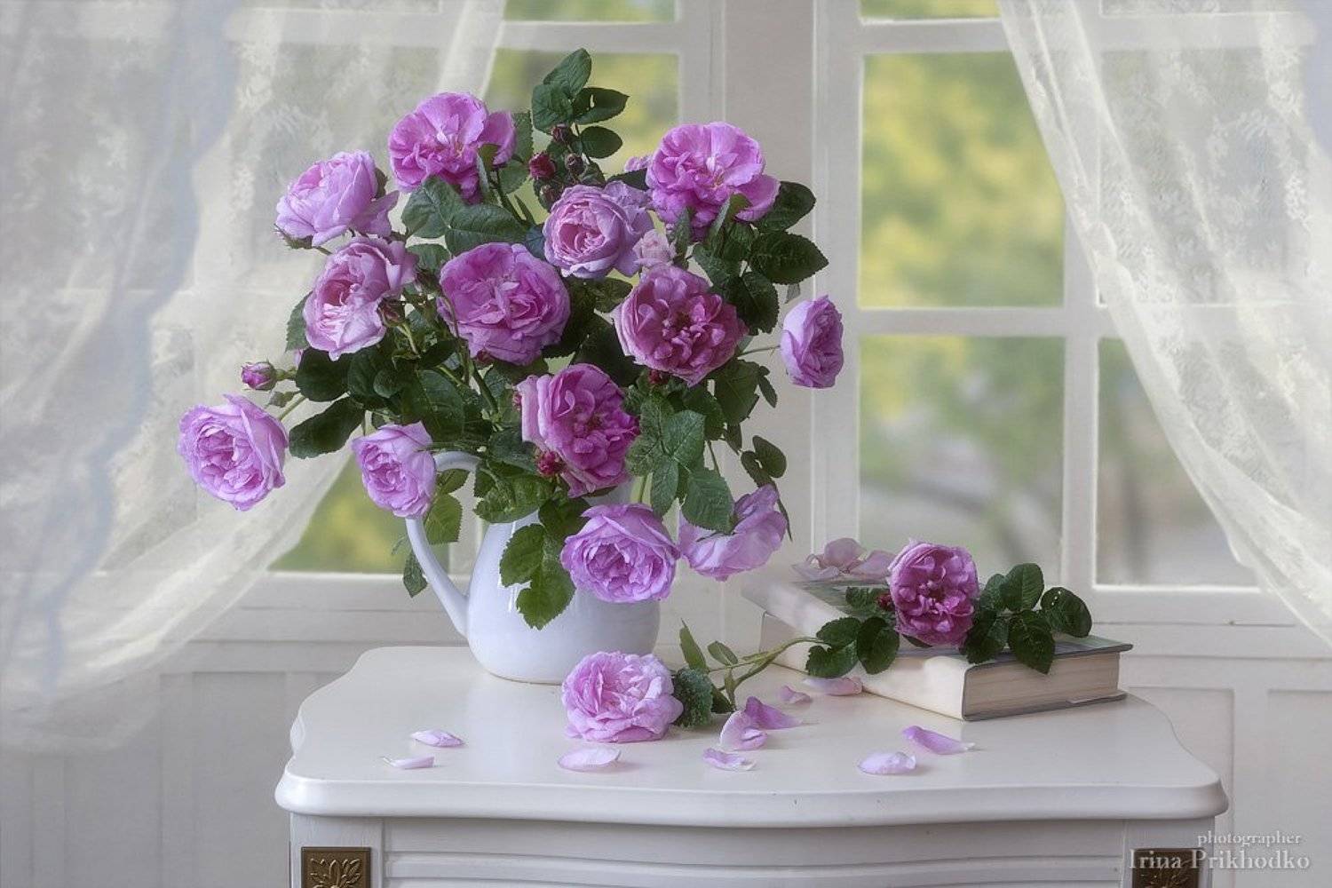 Нежное утро. Photographer Prihodko Irina