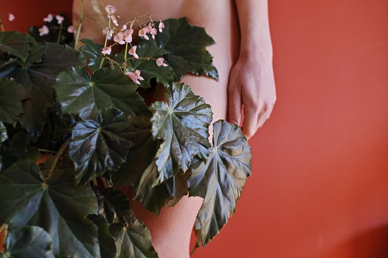 ...as her wind is our sacred blossom...photo preview