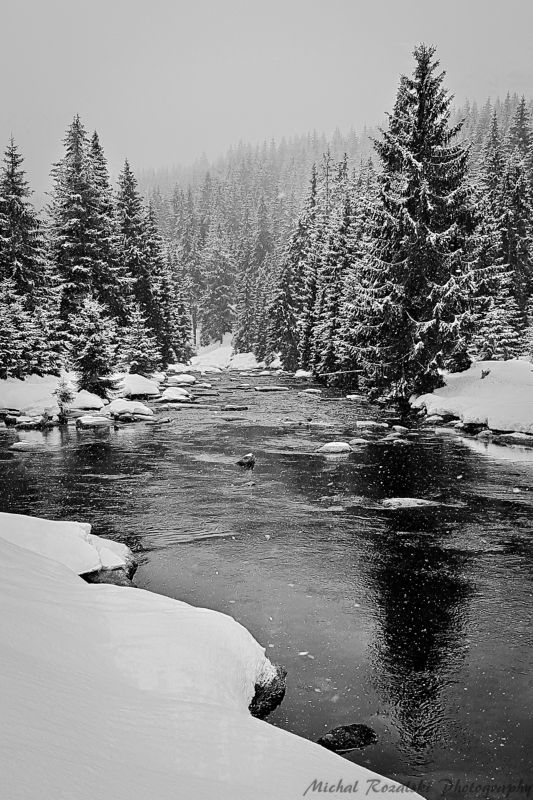 winter, ,season, ,blackandwhite, ,snow, ,landscape, ,trees, ,stream, ,photography In the mood of the winter seasonphoto preview