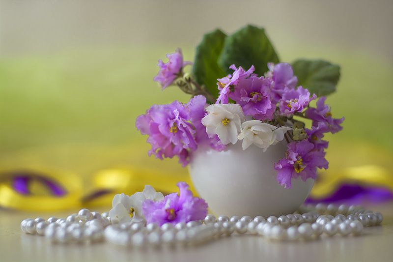 натюрморт с сенполиями,весна,букет,цветы,художественное фото,искусство. Букетик сиреневых сенполийphoto preview