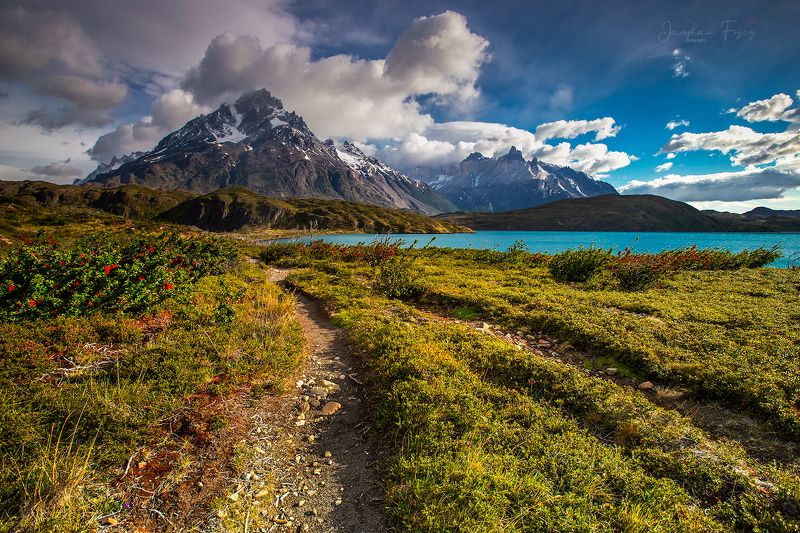 Cerro Paine. Patagonia.photo preview
