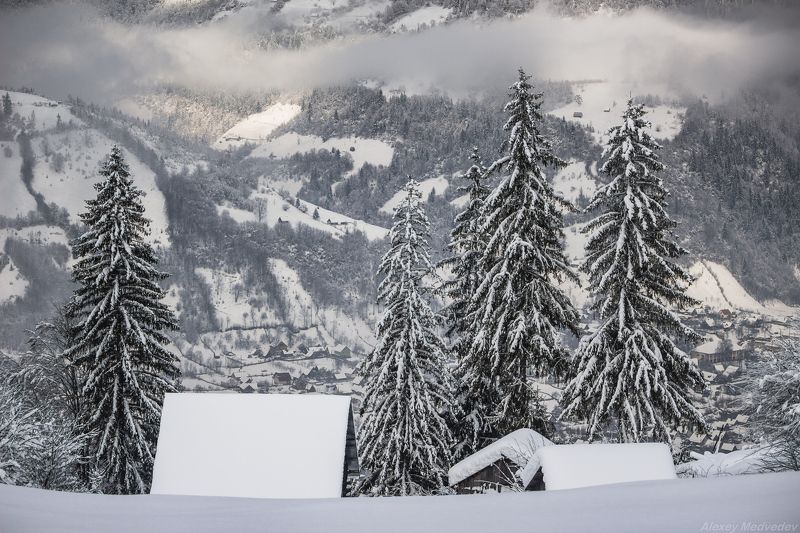 гори, закарпаття, зима, карпати, свидовець, смереки, сутінки, лопухів, лопухов, усть чорна, карпаты, хатки, село, долина В ожидании праздниковphoto preview