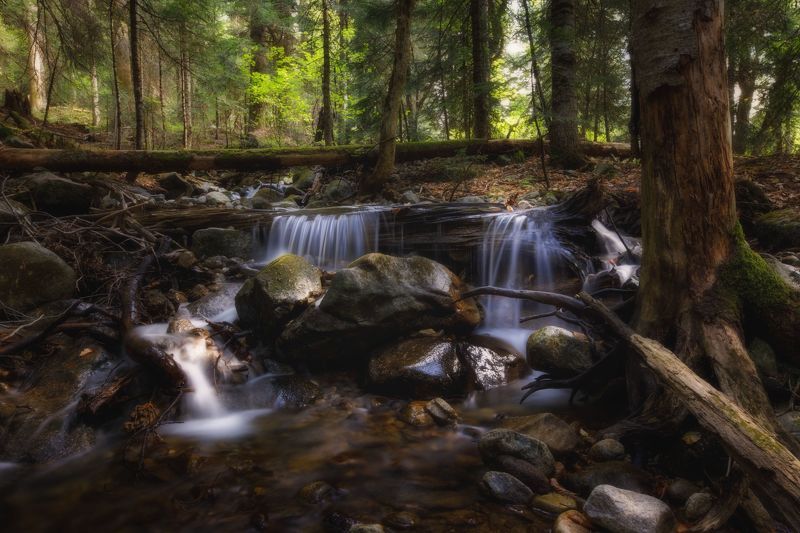 пейзаж, горы, кавказские горы, природа россии, архыз, горная река Прохлада в знойный деньphoto preview