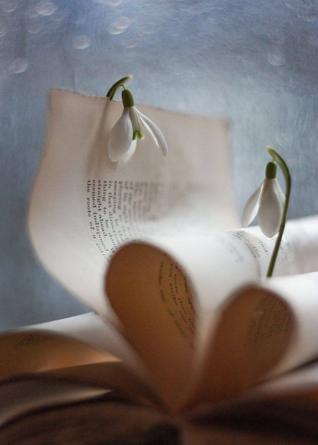 Театр.Азбука любви... Автор: Ирина Горюкина театр, азбука любви, старый объектив гелиос 44 (13 лепестков), подснежники, нежность, весенние зарисовки, ирина горюкина,беларусь, Ирина Горюкина