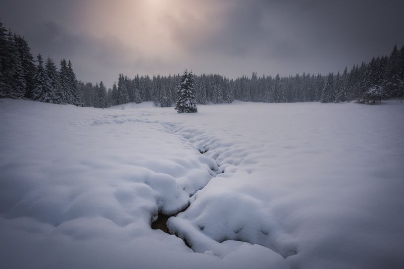 #landscape#nature#winter Soft winterphoto preview