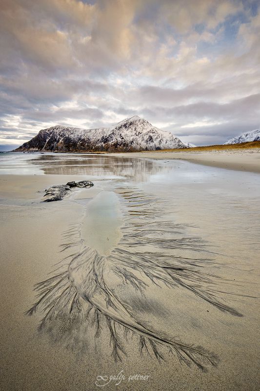 landscape, seascape, winter, beach, nature Lifelines in the sandphoto preview