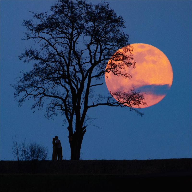 Moon loversphoto preview